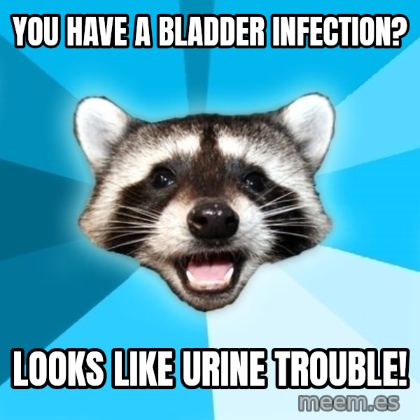Lame Pun Coon meme: You have a bladder infection? / Looks like urine trouble!