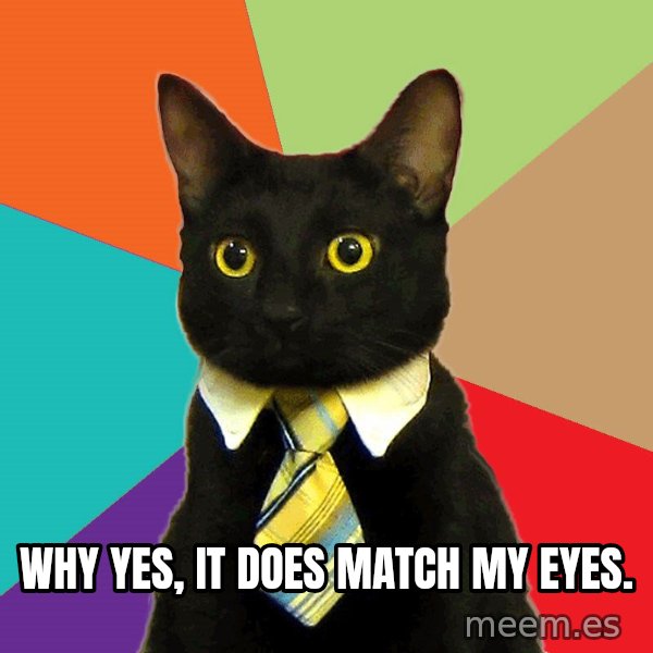 Business Cat meme: why yes, it does match my eyes.