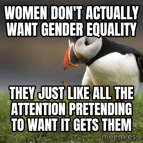 Unpopular Opinion Puffin meme: Women don't actually want gender equality / They just like all the attention pretending to want it gets them