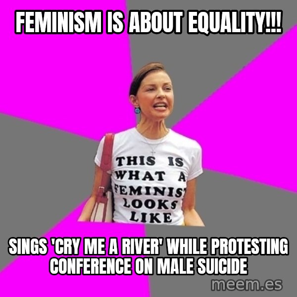 Feminist Cunt meme: feminism is about equality!!! / sings 'cry me a river' while protesting conference on male suicide