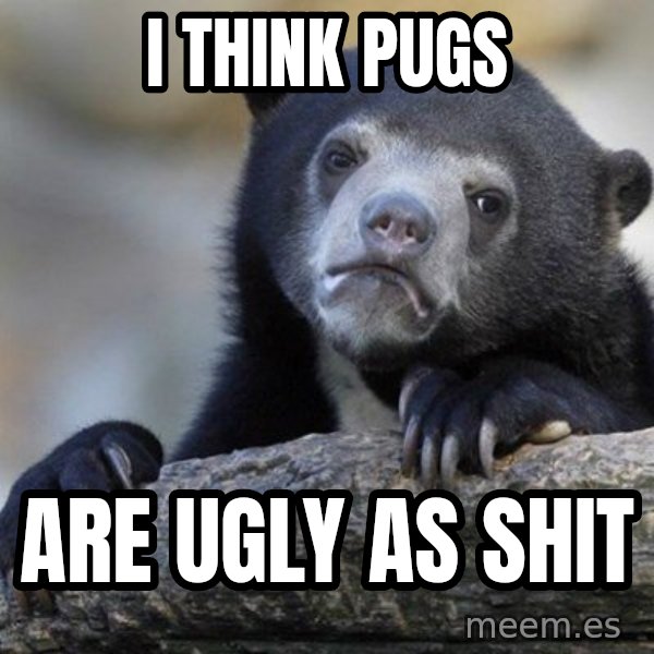 Confession Bear meme: I think pugs / are ugly as shit