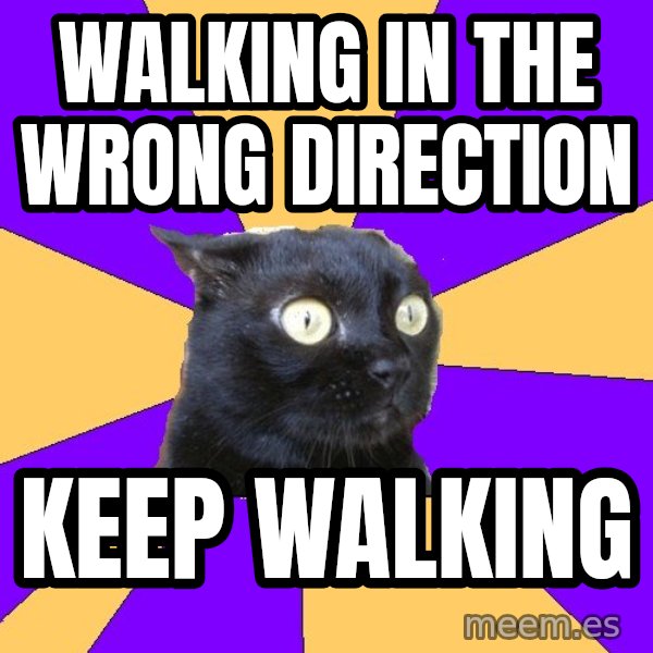 Anxiety Cat meme: walking in the wrong direction / keep walking