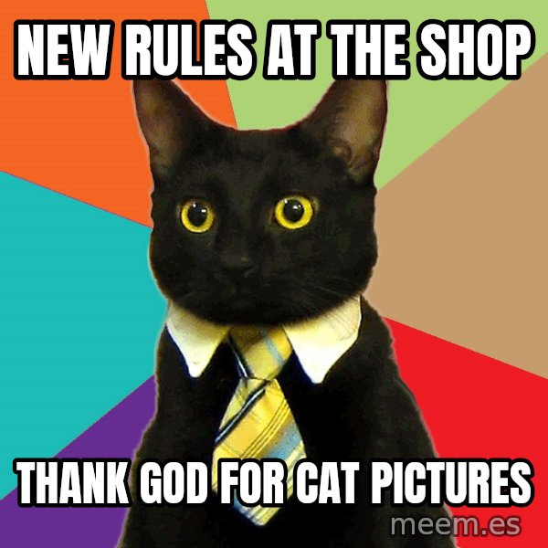Business Cat meme: new rules at the shop / thank god for cat pictures