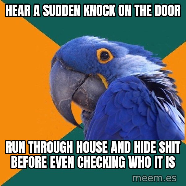 Paranoid Parrot meme: Hear a sudden knock on the door / run through house and hide shit before even checking who it is