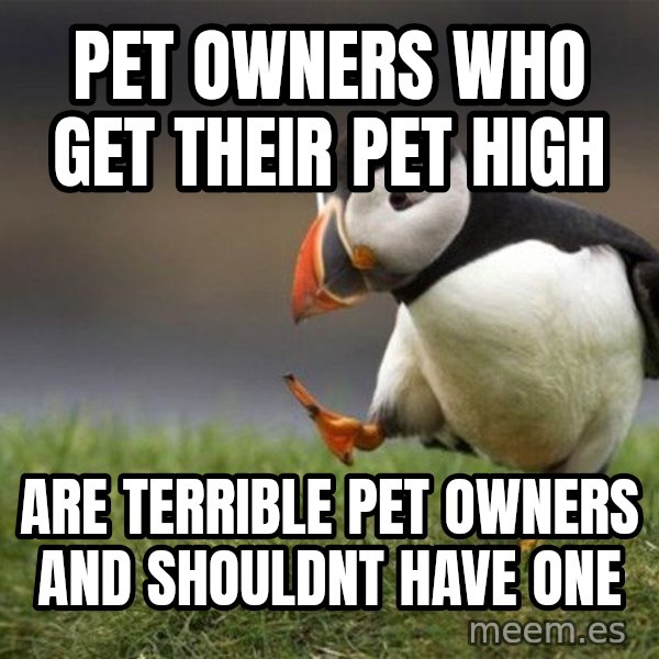 Unpopular Opinion Puffin meme: Pet owners who get their pet high / Are terrible pet owners and shouldnt have one