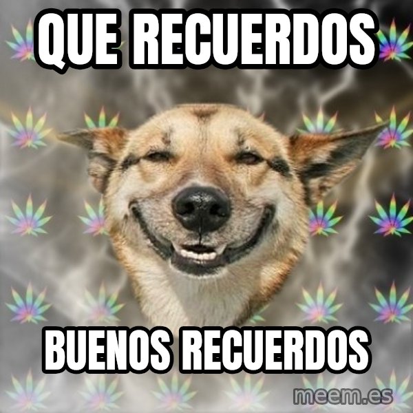 Stoner Dog meme: Que recuerdos / buenos recuerdos