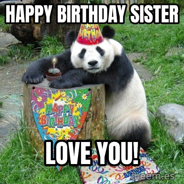 Happy Birthday Panda meme: Happy Birthday Sister / Love you!