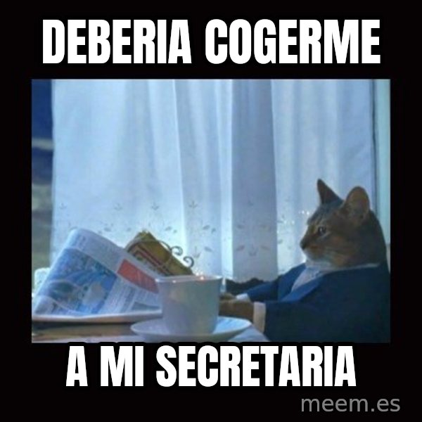 i should buy a boat cat meme: deberia cogerme / a mi secretaria