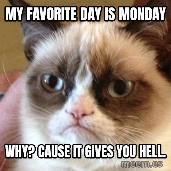 Angry Cat Meme meme: MY FAVORITE DAY IS MONDAY / WHY? CAUSE IT GIVES YOU HELL.
