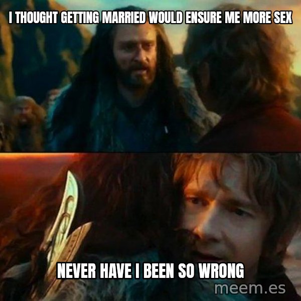 Never Have I Been So Wrong meme: i thought getting married would ensure me more sex / never have i been so wrong