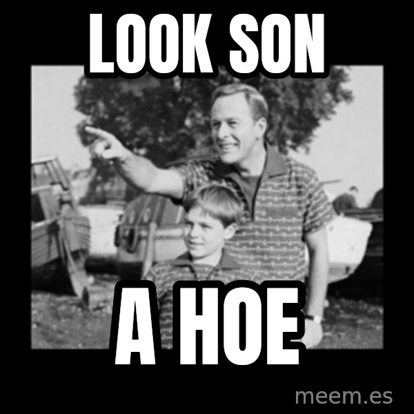 look son a faggot meme: Look Son / A Hoe