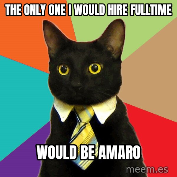 Business Cat meme: the only one i would hire fulltime / would be amaro