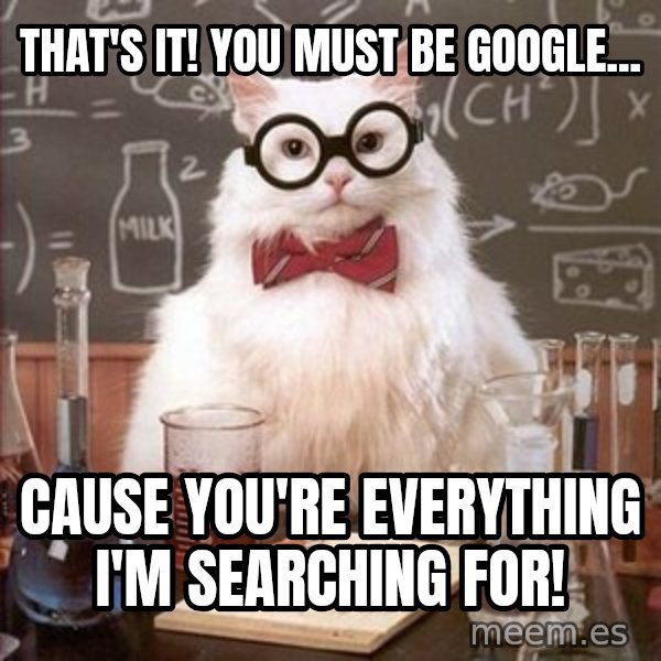 Chemistry Cat meme: That's it! You must be google... / Cause you're everything I'm searching for!