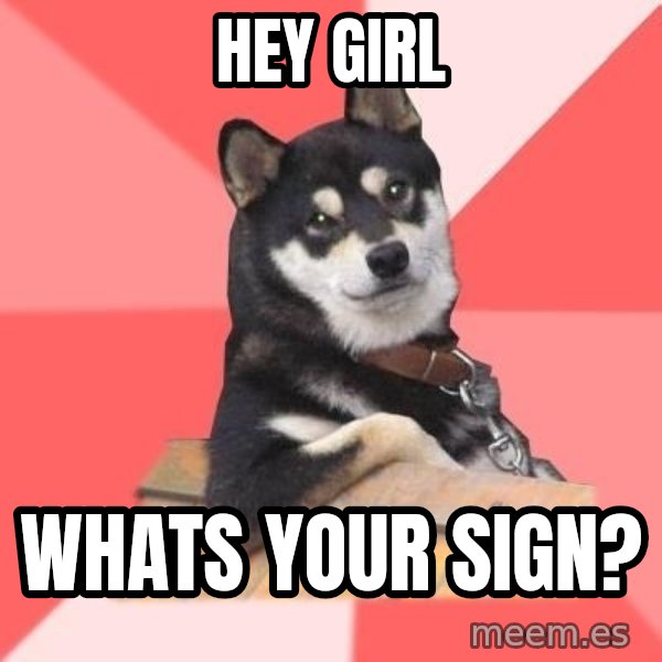 Cool Dog meme: hey girl / whats your sign?