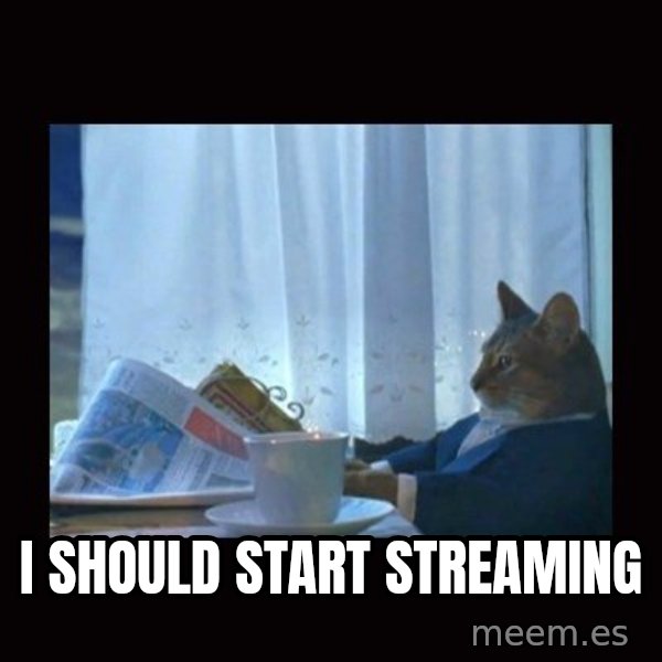 i should buy a boat cat meme: I should start streaming