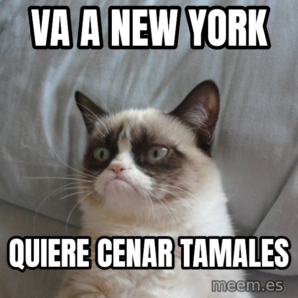 Grumpy cat good meme: Va a new york / quiere cenar tamales