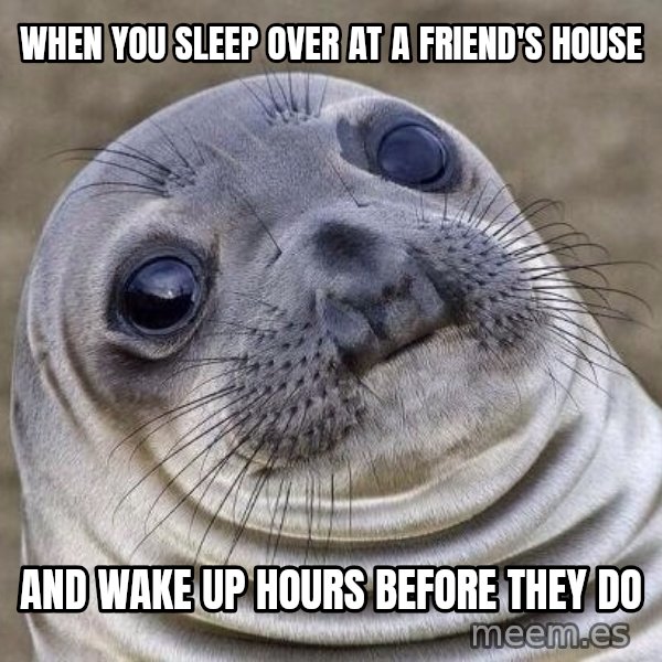 Awkward Seal meme: When you Sleep Over at a friend's house / and wake up hours before they do