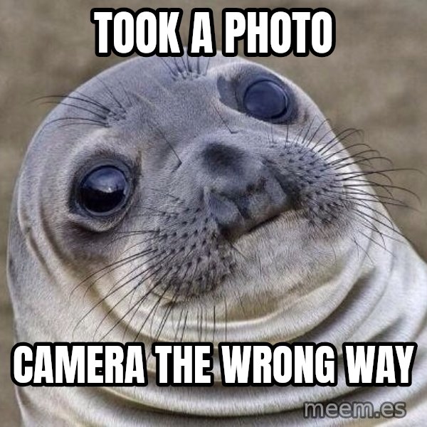 Awkward Seal meme: took a photo / camera the wrong way