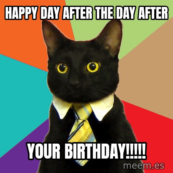 Business Cat meme: Happy day after the day after / Your birthday!!!!!