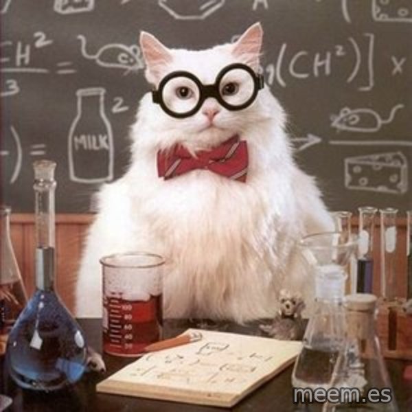 Chemistry Cat meme: 
