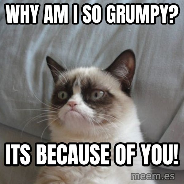 Grumpy cat good meme: why am i so grumpy? / its because of you!