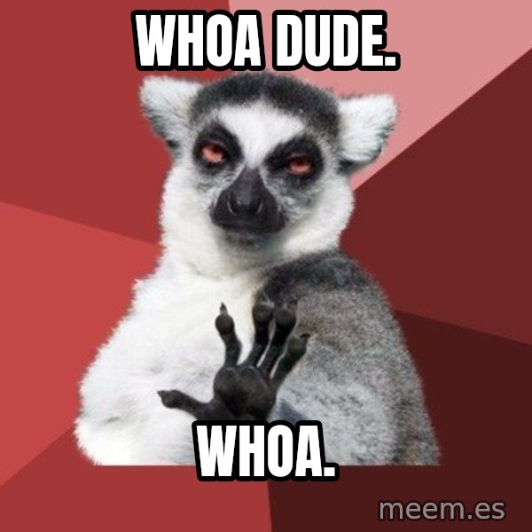 Chill Out Lemur meme: whoa dude. / whoa.