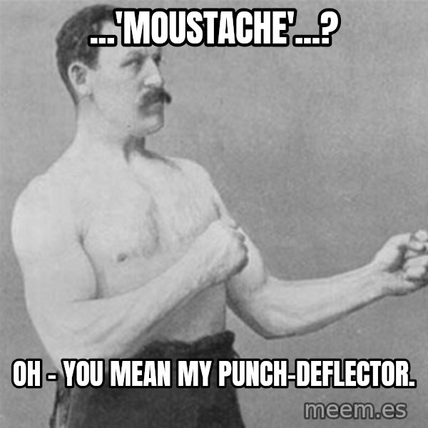 overly manlyman meme: ...'Moustache'...? / Oh - you mean my punch-deflector.