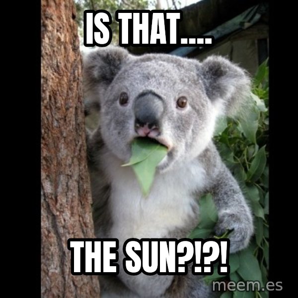 Koala can't believe it meme: is that.... / The sun?!?!