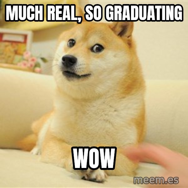 so doge meme: much real, so graduating / wow