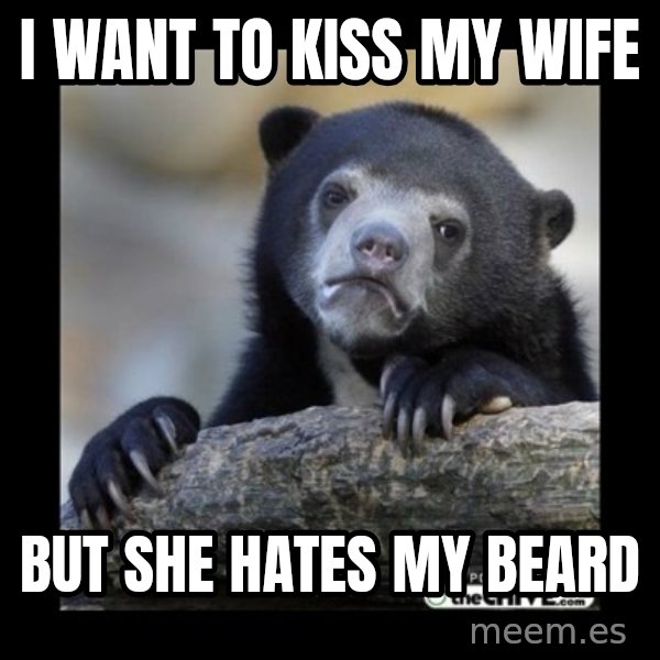 sad bear meme: i Want to kiss my wife / but she hates my beard