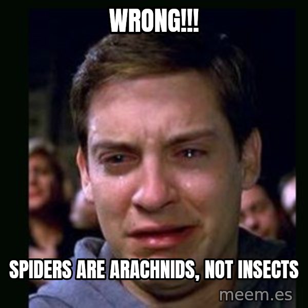 crying peter parker meme: wrong!!! / spiders are arachnids, not insects