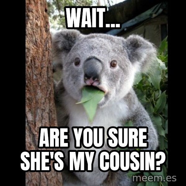 Koala can't believe it meme: Wait... / Are you sure she's my cousin?