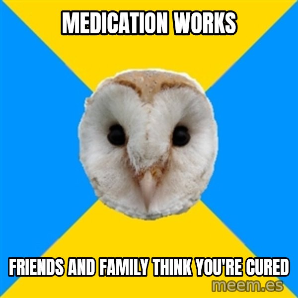 Bipolar Owl meme: Medication works / friends and family think you're cured
