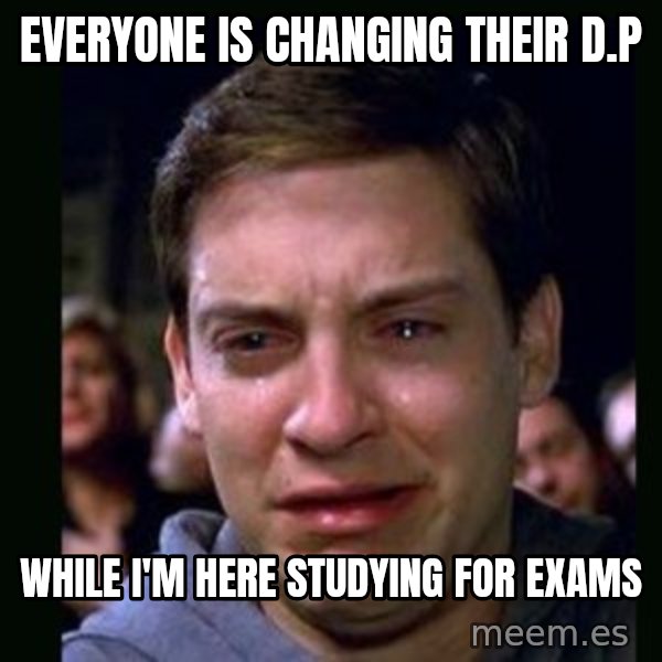 crying peter parker meme: everyone is changing their d.p / while i'm here studying for exams