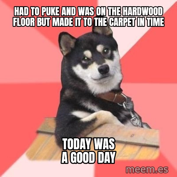 Cool Dog meme: Had to puke and was on the hardwood floor but made it to the carpet in time / Today was a good day