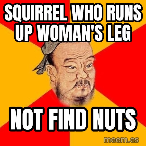 Wise Confucius meme: Squirrel who runs up woman's leg / Not Find nuts