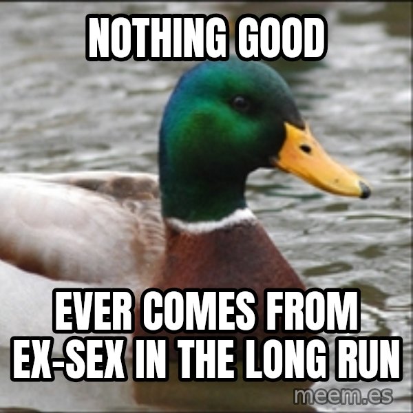 Actual Advice Mallard 1 meme: nothing good / ever comes from ex-sex in the long run