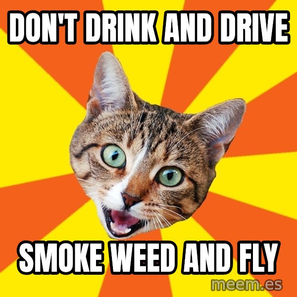 Bad Advice Cat meme: Don't drink and drive / Smoke weed and fly