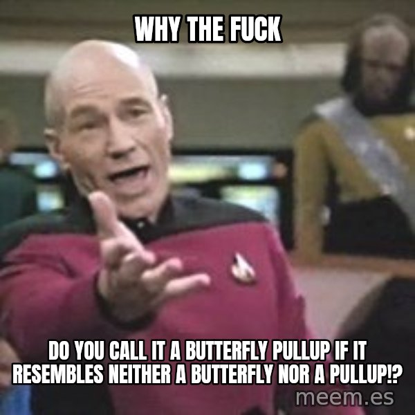 Captain Picard meme: Why the fuck / do you call it a butterfly pullup if it resembles neither a butterfly nor a pullup!?