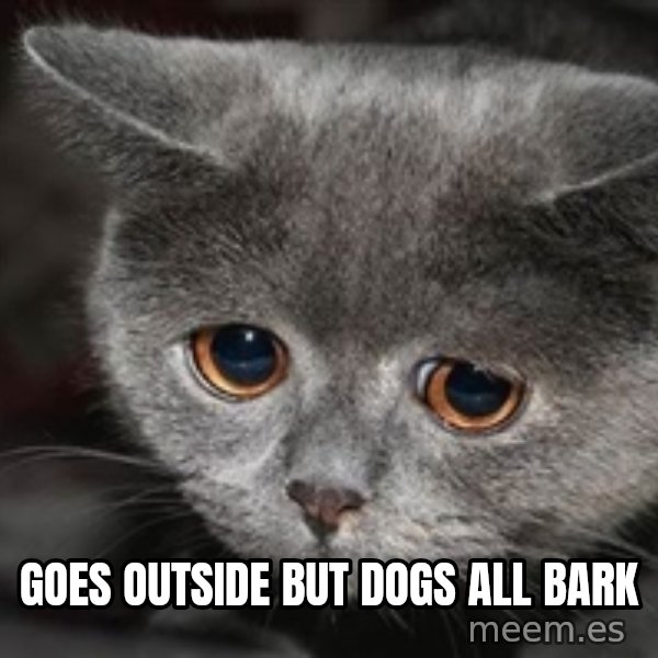 Sadcat meme: goes outside but dogs all bark