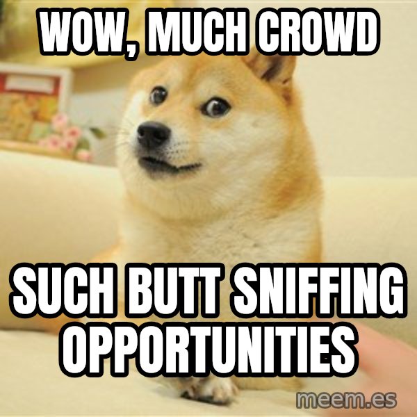 so doge meme: wow, much crowd / such butt sniffing opportunities