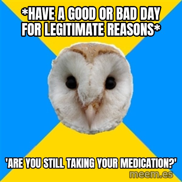 Bipolar Owl meme: *Have a good or bad day for legitimate reasons* / 'Are you still taking your medication?'