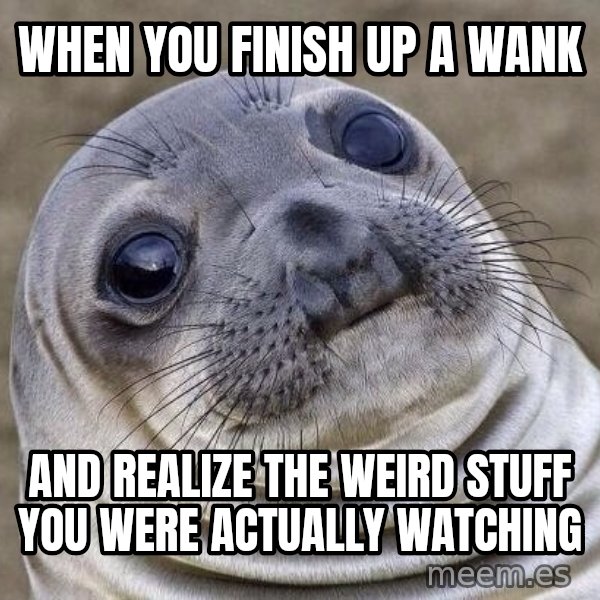 Awkward Seal meme: When you finish up a wank / and REALIZE the weird stuff you were actually watching