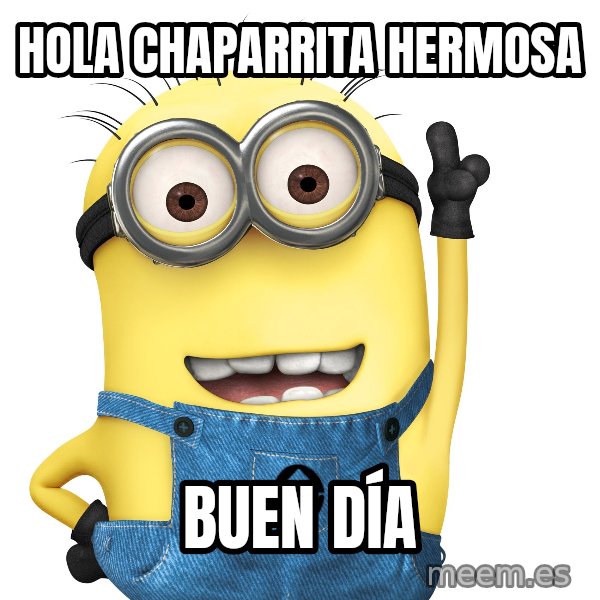 Despicable Me Minion meme: Hola chaparrita hermosa / Buen día