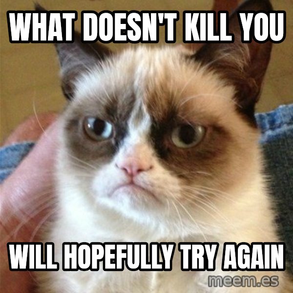 Grumpy Cat  meme: what doesn't kill you / will hopefully try again