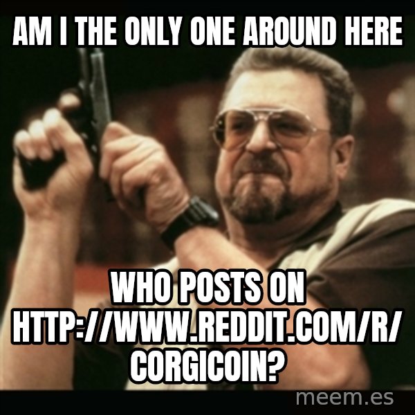am i the only one around here meme: Am I the only one around here / who posts on http://www.reddit.com/r/ corgicoin?