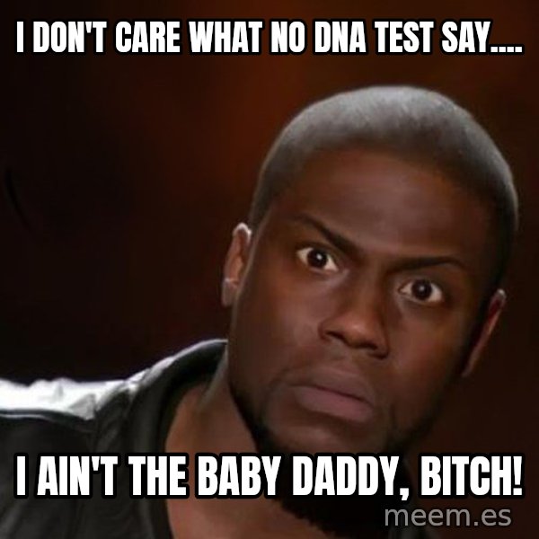 kevin hart nigga meme: I don't care what no dna test say.... / I ain't the baby daddy, bitch!
