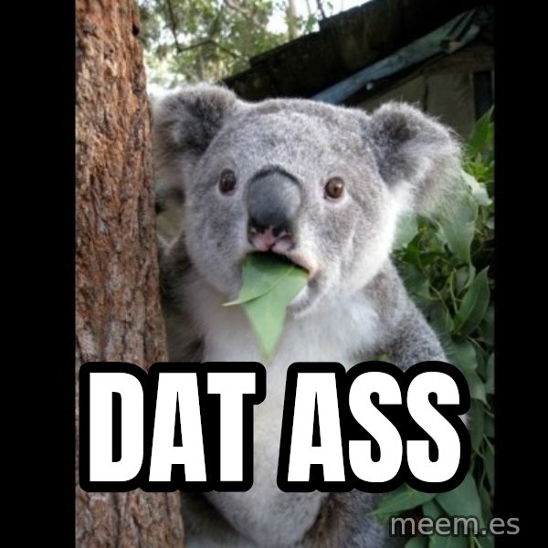 Koala can't believe it meme: DAT ASS