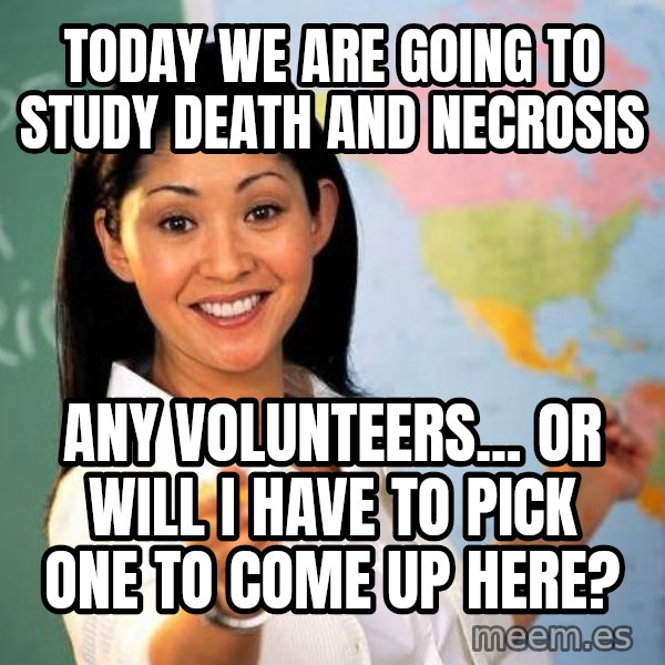 Unhelpful High School Teacher meme: today we are going to study death and necrosis / any volunteers... or will i have to pick one to come up here?