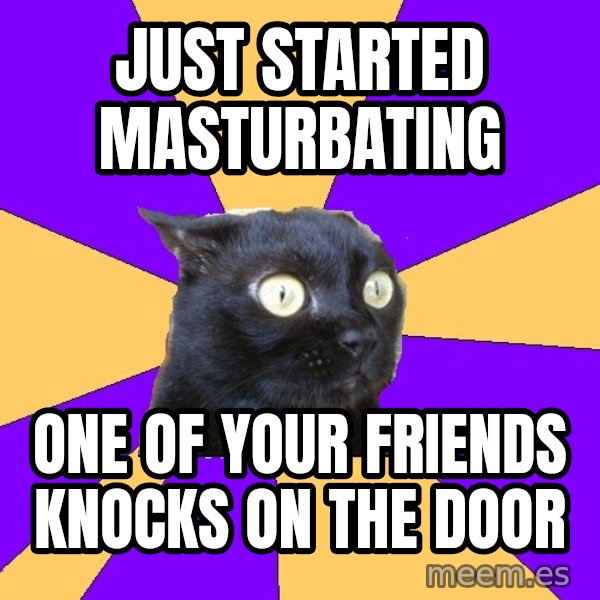 Anxiety Cat meme: just started masturbating / one of your friends knocks on the door
